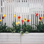 spring maintenance - flowers